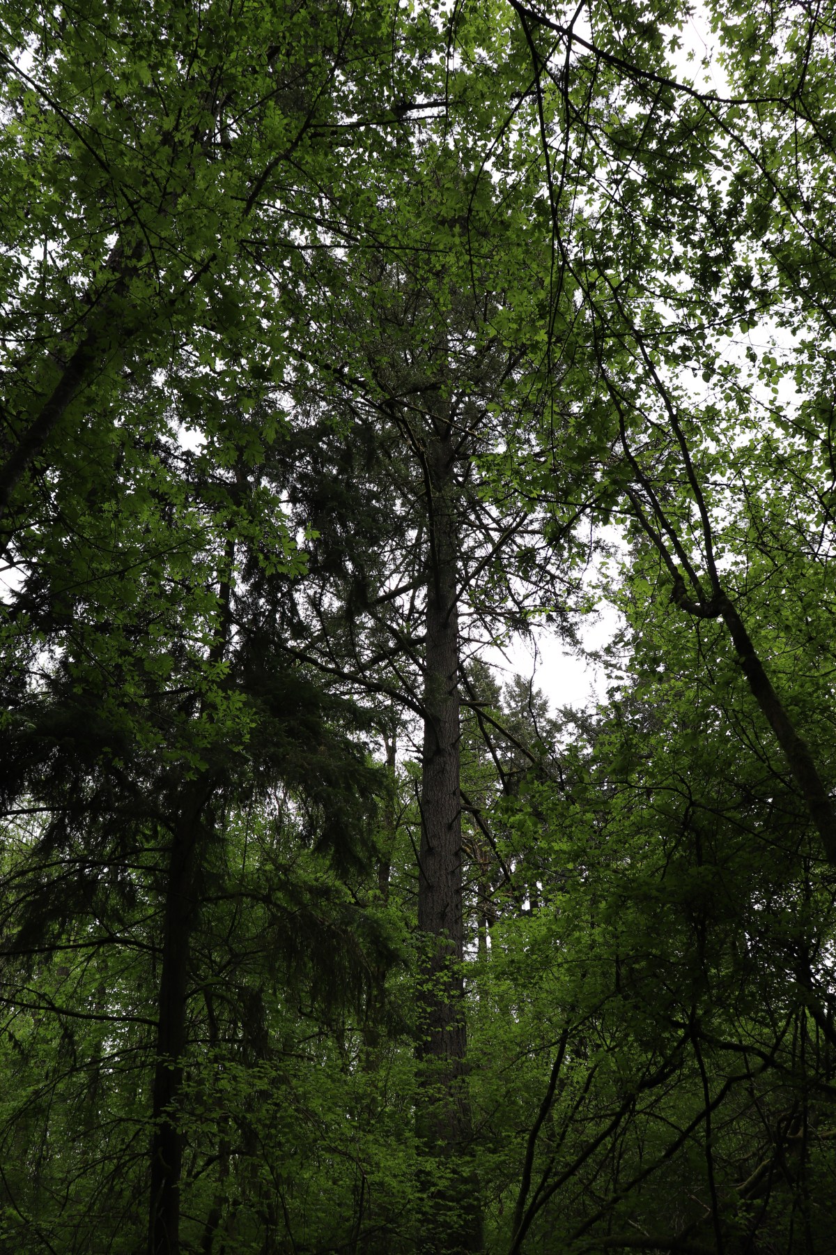 Journey’s End: My Final&nbsp;Demon