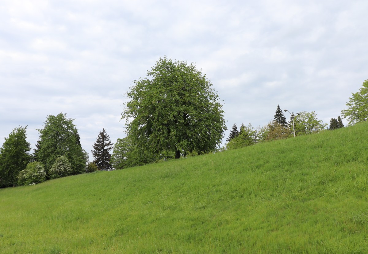 Our Darkest Shadows: A tale in&nbsp;wellness