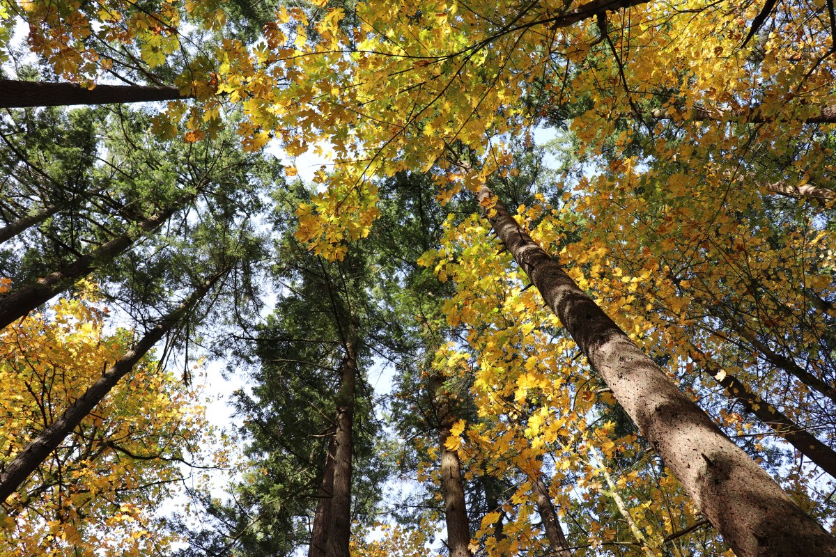 My 4 pillars to a meaningful&nbsp;life