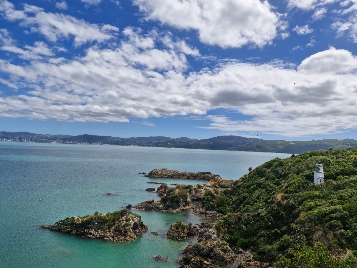 New Zealand, New Mike: A New&nbsp;Chapter